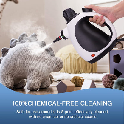 DELVA SteamMaster™ Cleaner